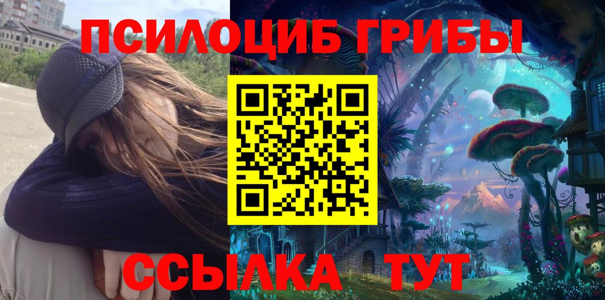 Псилоцибиновые грибы Psilocybine cubensis Ижевск