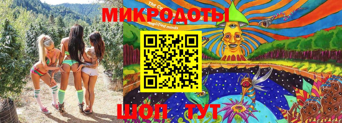 Псилоцибиновые грибы прущие грибы  Псилоцибиновые грибы Psilocybe  Ижевск  Вход с VPN 